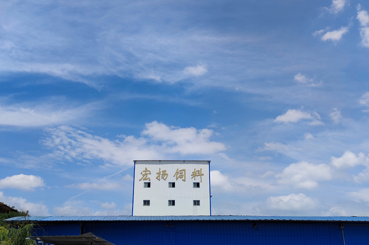 廠區(qū)環(huán)境
